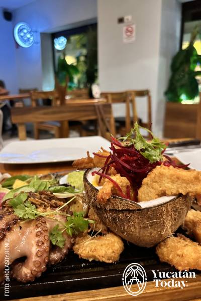 2401 MOBULA BY RENEE