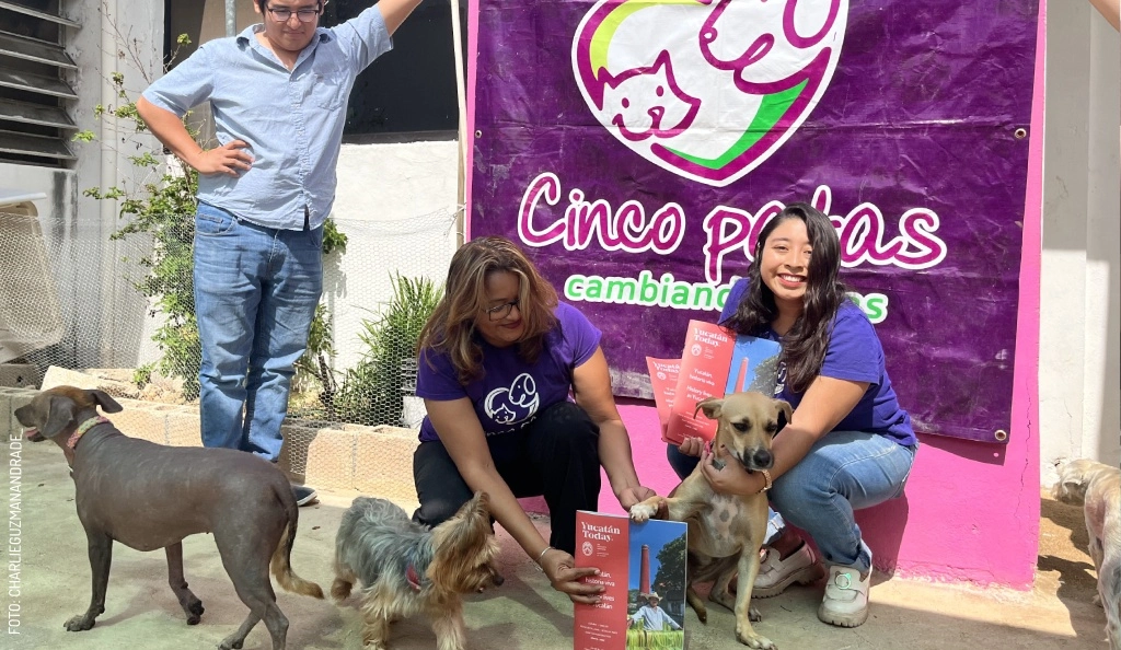 2403 A cinco patas by Charlie G