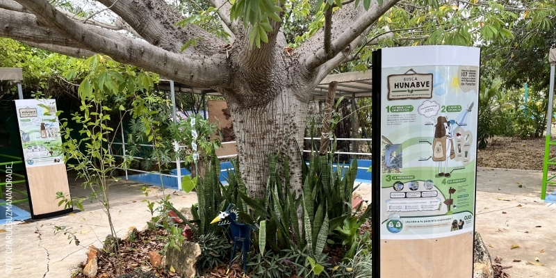 Arbol central de HUNAB Proyecto de Vida A. C. 2402 by Charlie G.