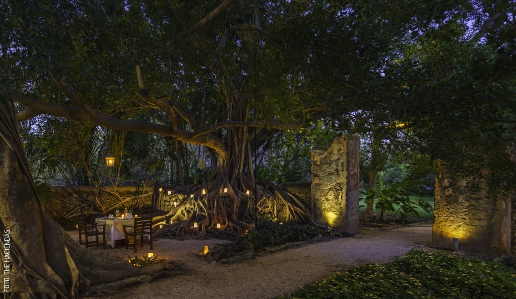 2404 CENA ROMANTICA EN THE HACIENDAS