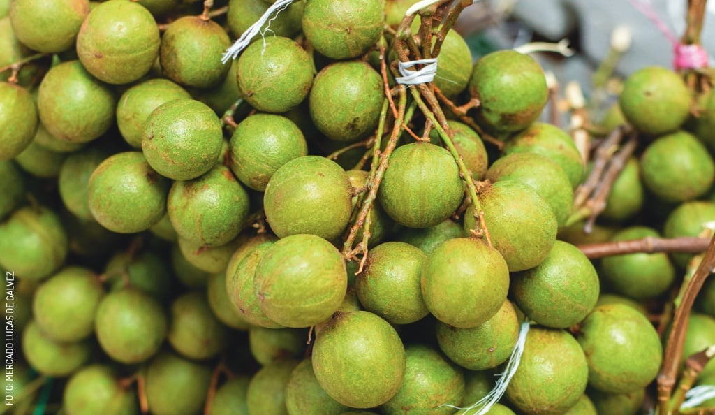 2404 Huayas by Mercado Lucas de Galvez-1