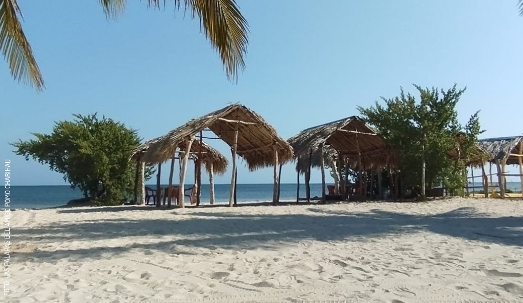 2404 Las Palapas del Amigo Pomo Chabihau