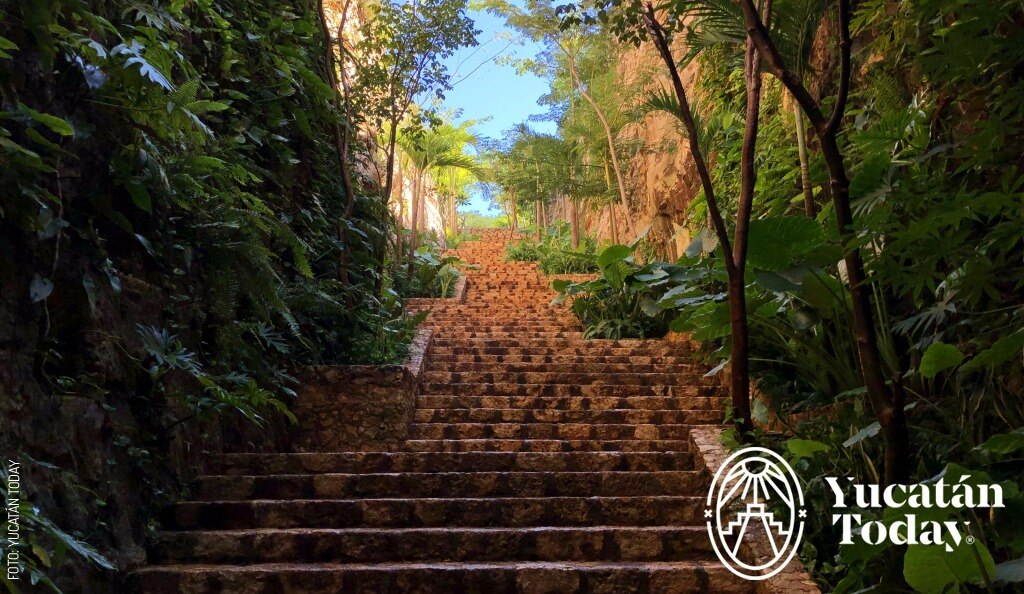 2405 Escaleras Cenote Tsukan by Andrea MyT (1)