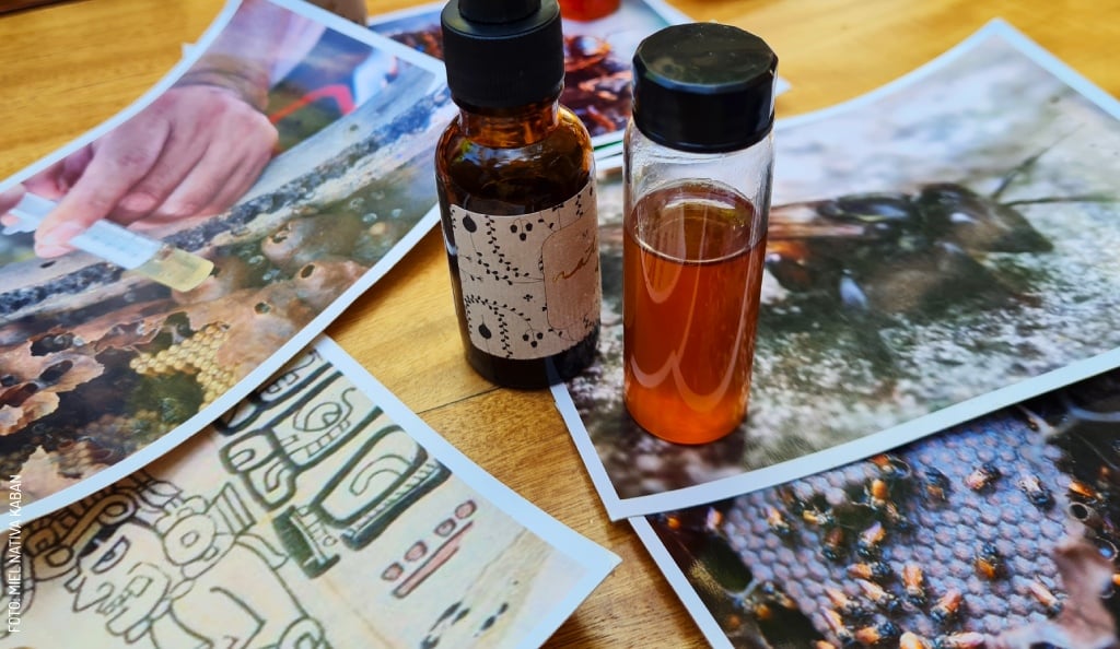 2405 Fotos de abejas con miel by miel nativa kaban