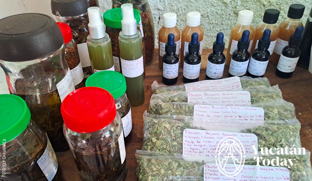 2406 Hierbas medicinales, gel, tinturas para Hueseros y Sobadores por Ely Chavarrea