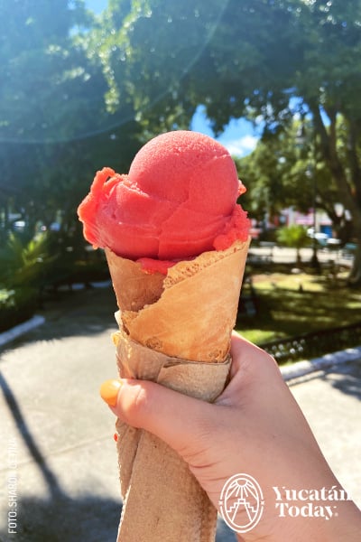 2407 Helados Polito Heladerías y Postres Mérida Mamey by Sharon Cetina