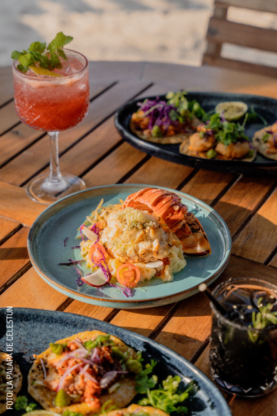 2407 La Palapa de Celestun by La Palapa de Celestun Slogo (1)