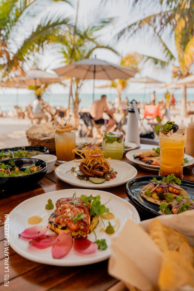 2407 La Palapa de Celestun by La Palapa de Celestun Slogo (2)