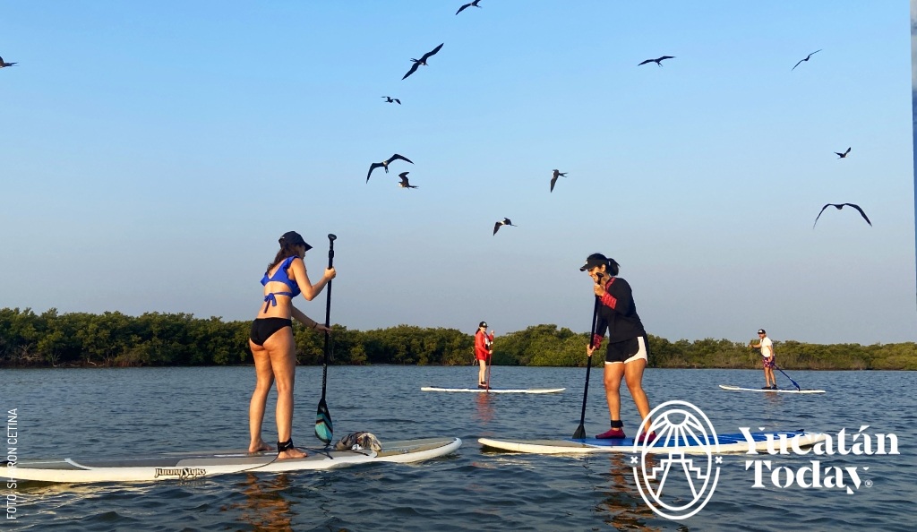 2407 Progreso Paddleboard by Sharon Cetina slogo (1)