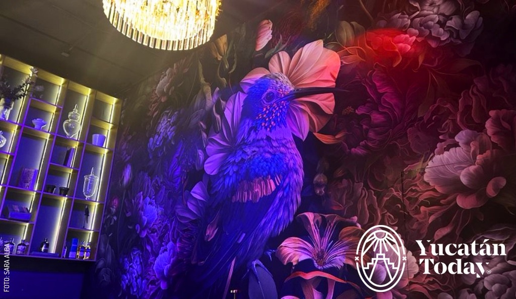 2408 Bernardette Show Bar Show by Sara Alba