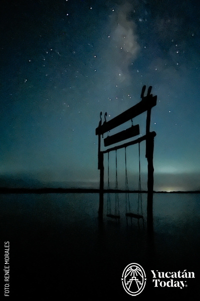 2408 Bioluminiscencia by Renée Morales slogo