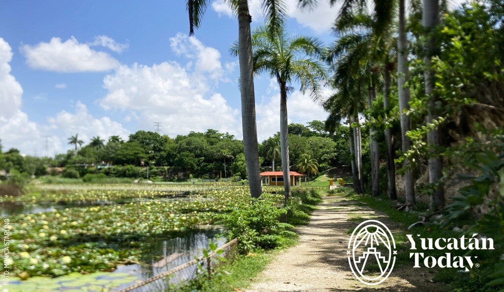 2409 Acuaparque de Vergel Parques Mérida by Mónica Starling (1)