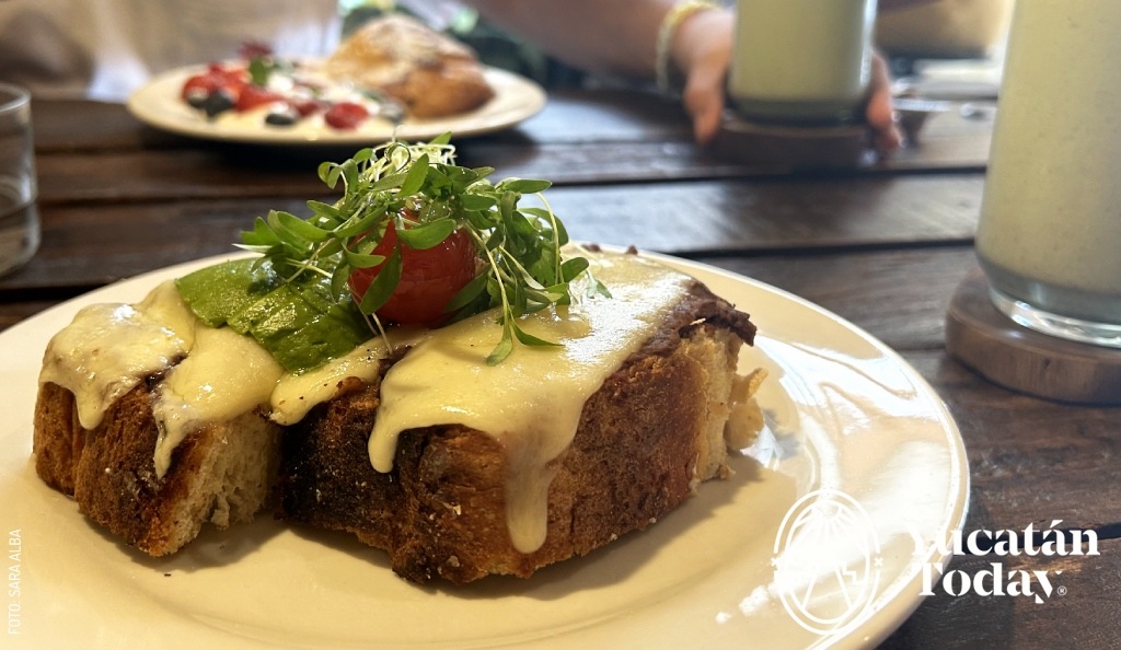 2409 María y Montejo Cafeterías Mérida by Sara Alba