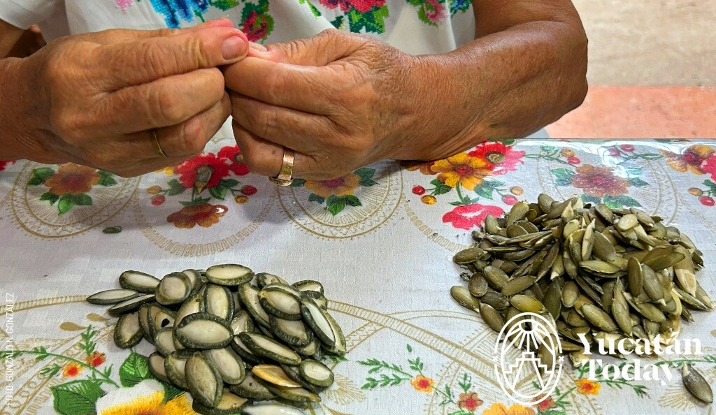 2410 Mazapanes Tekax Pelar Pepitas by Gonzalo N. González