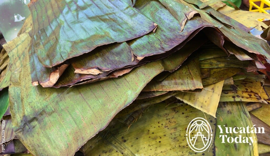 2410 San Gertrudis Copo Pib Mukbilpollo Hoja de Platano by Yucatán Today