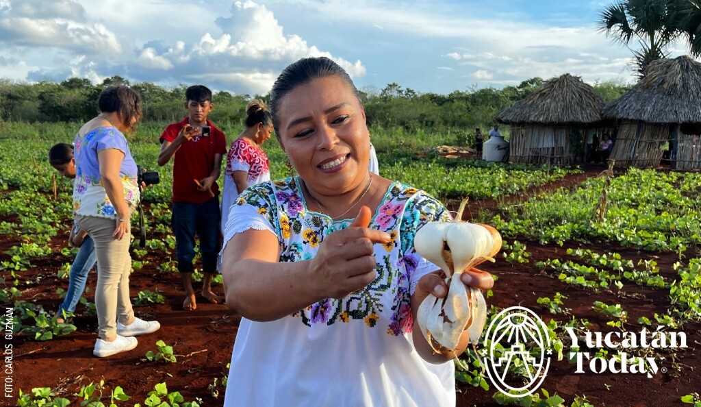2411 Feria de la Jicama Maxcanu Mestiza con Jicama by Carlos Guzman