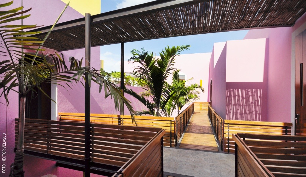 2411 Rosas & Xocolate Pasillos by Hector Velasco