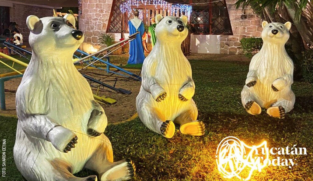 2412 Parque de las Americas Navidad Merida Osos Polares Fogata by Sharon Cetina