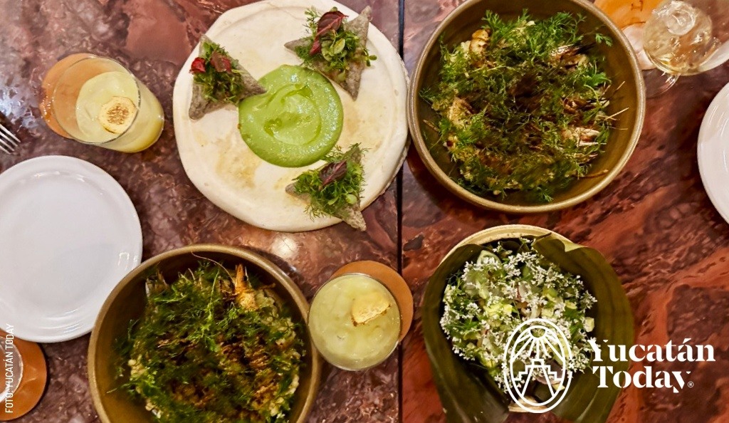 2501 NOL Calle 60 Mérida by Yucatan Today