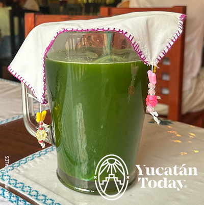 Agua-de-Chaya-by-Renee-Morales