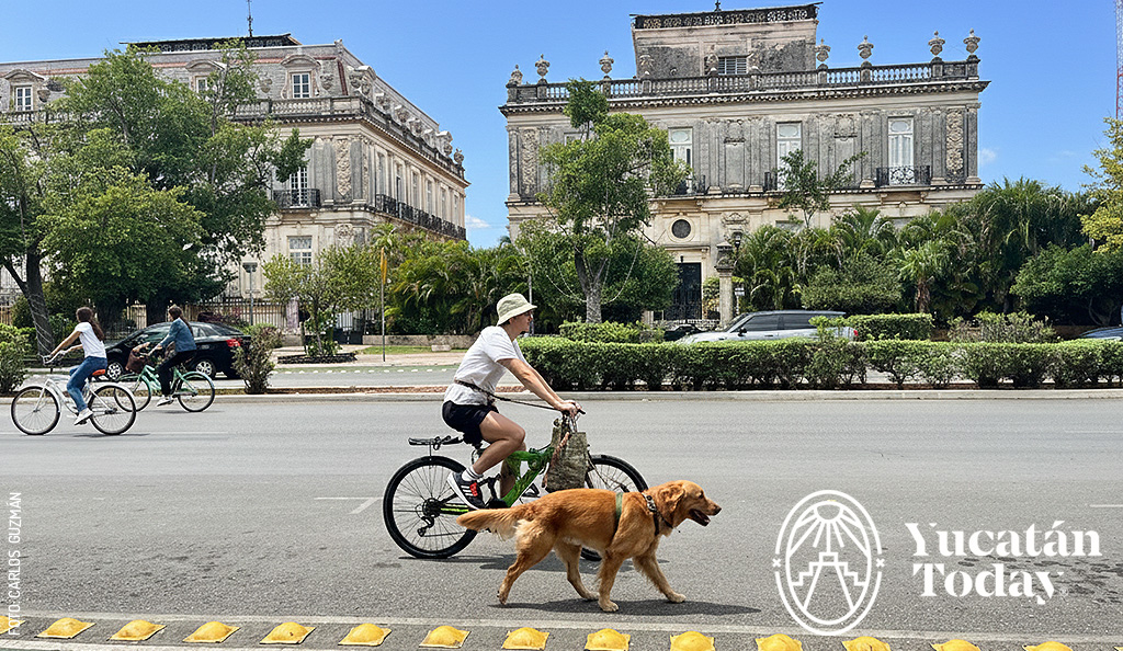 Bici-ruta-Paseo-de-Montejo-Casas-Gemelas-by-Carlos-Guzman