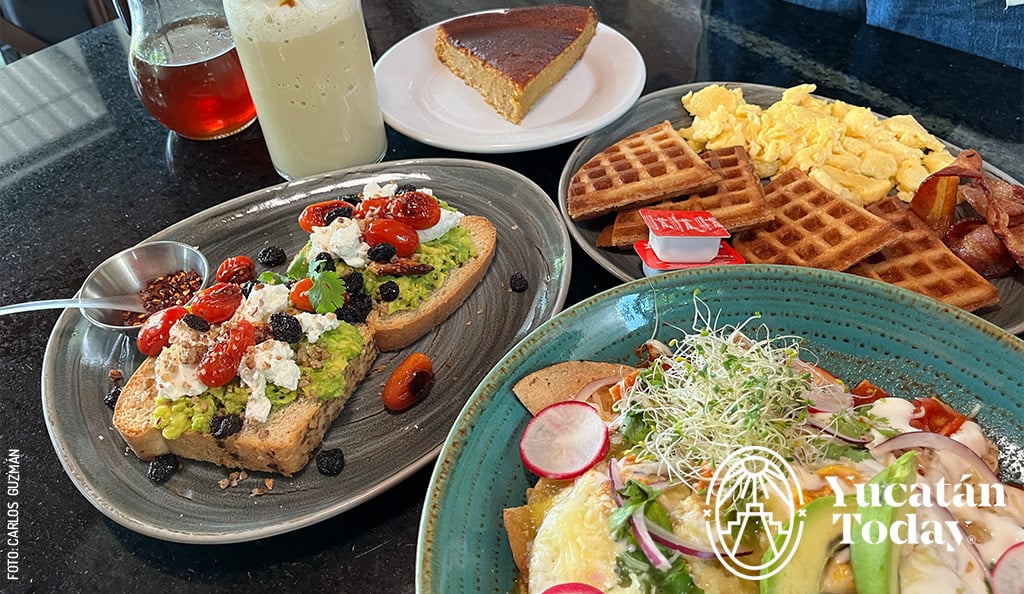 Calotmul-Cafe-Estacion-1888-avocado-toast-wafles-chilaquiles-by-Carlos-Guzman