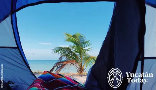 Camping-2-800x464