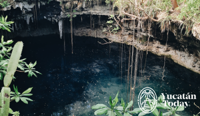 Cenote-Xooch-Cenotillo-by-Olivia-Camarena-2021-07-17-050845431