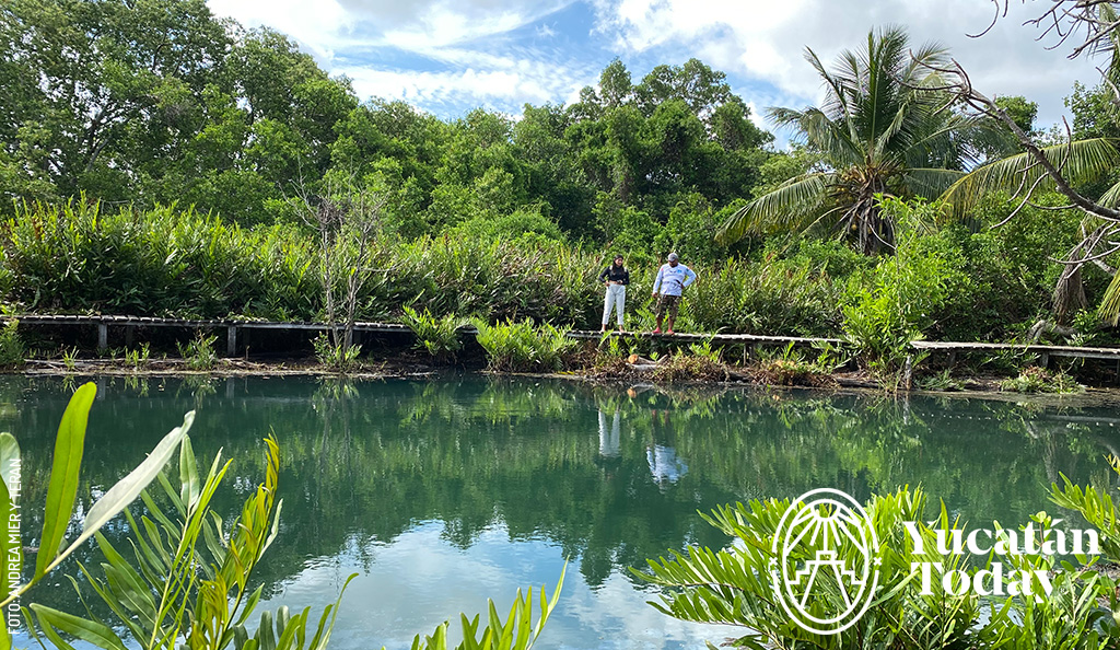 Cenote-aguada-Kambulnah-en-San-Felipe-by-Andrea-Mier-y-Teran
