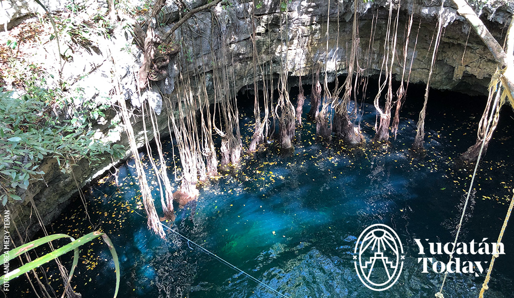 Cenote-en-San-Manuel-Km-11-en-Tizimin-by-Andrea-Mier-y-Teran