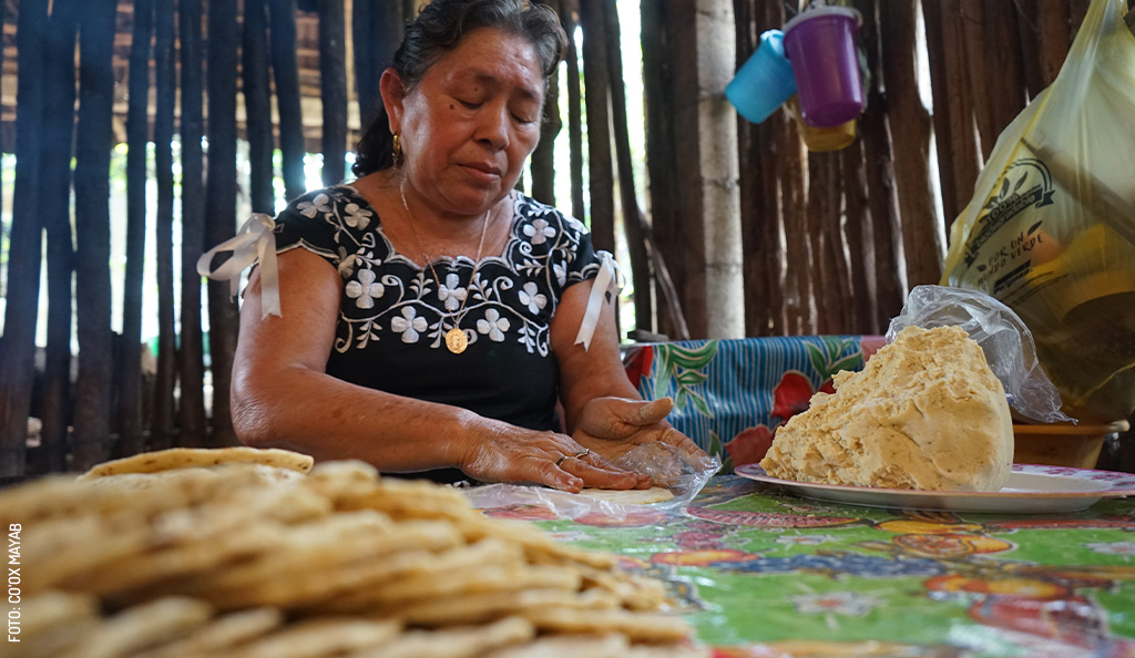 Coox-Mayab-tours-cocina-regional-mestiza-Tekit-by-Coox-Mayab