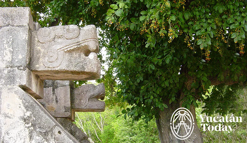 Detalles-Kukulkan-en-Chichen-Itza-by-Carlos-Rosado