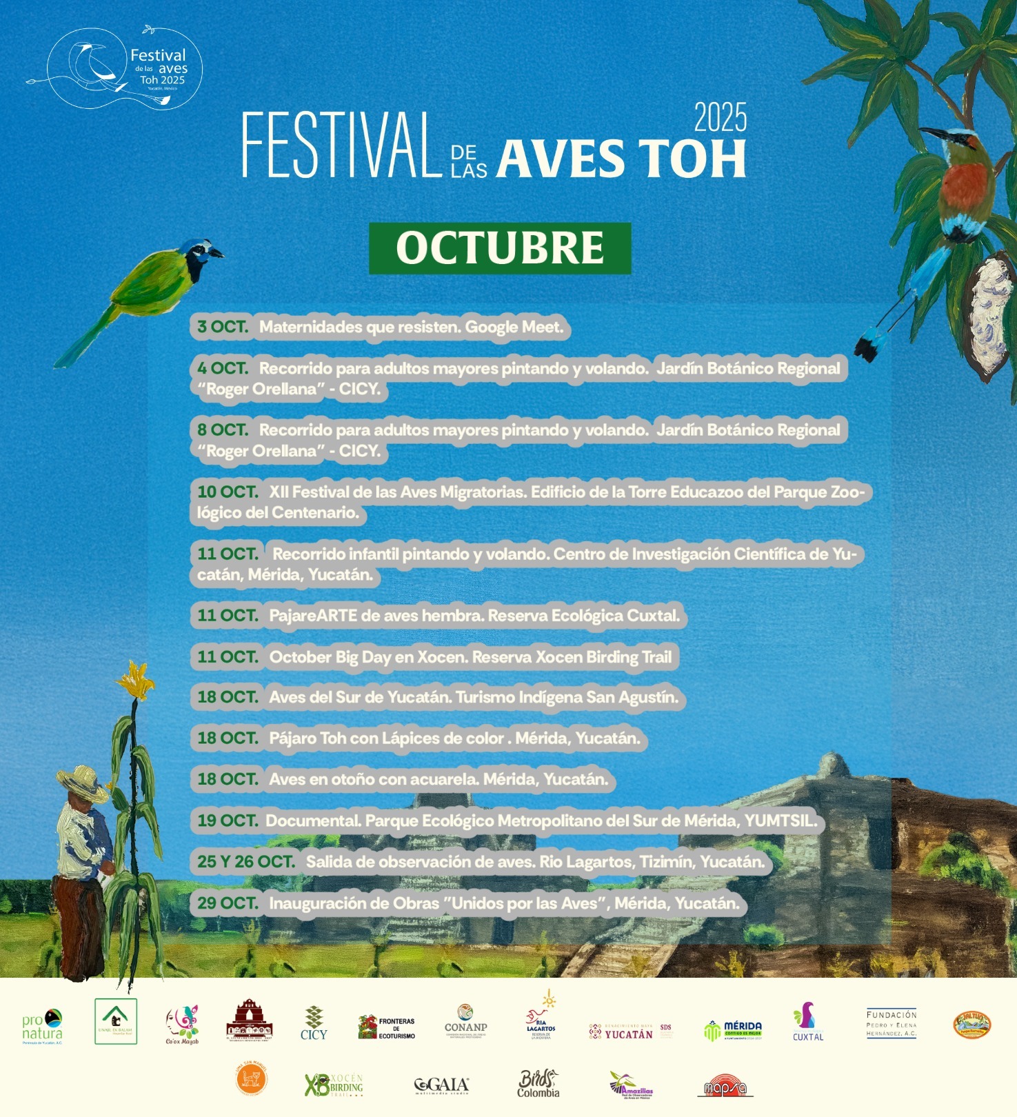 Festival de las Aves Toh octubre 2025