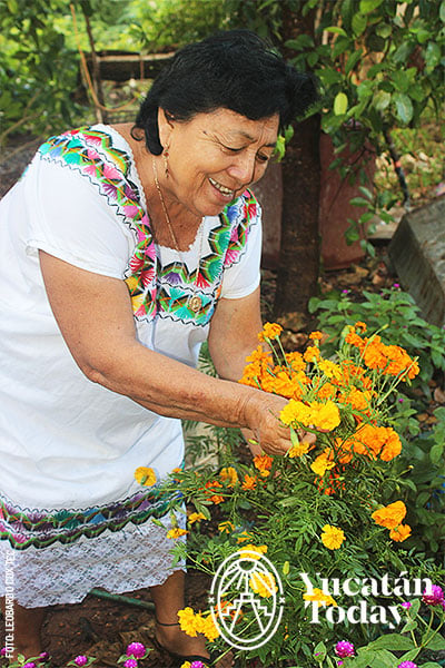 Flor-Xpujuk-mestiza-by-Leobardo-Cox-Tec
