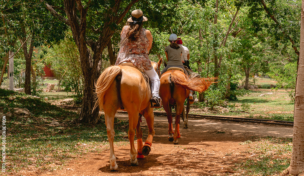 Hacienda-Sotuta-de-Peon-caballos-by-Hacienda-Sotuta-de-Peon
