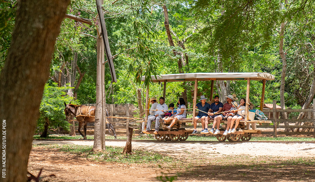 Hacienda-Sotuta-de-Peon-truck-by-Hacienda-Sotuta-de-Peon