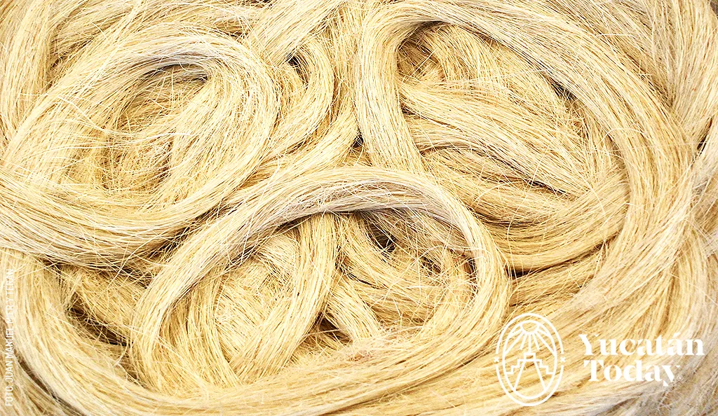 Henequen-by-Juan-Manuel-Mier-y-Teran-for-Yucatan-Today-1 (1)