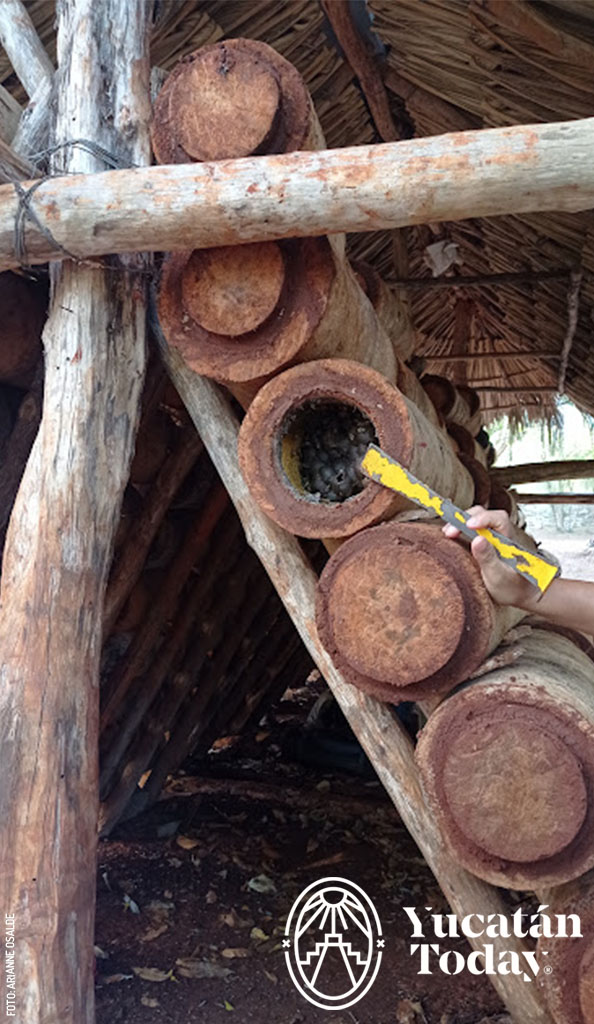 2303 Meliponario U Naajil Yum Kiin en Maní by Arianne Osalde