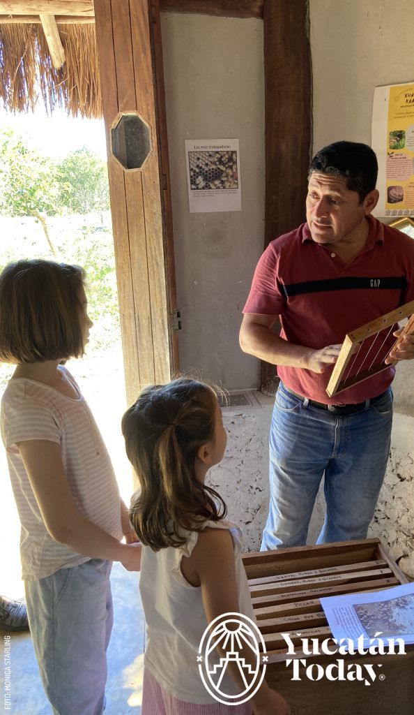 2303 Apiturismo Sinanché 2 by Monica Starling