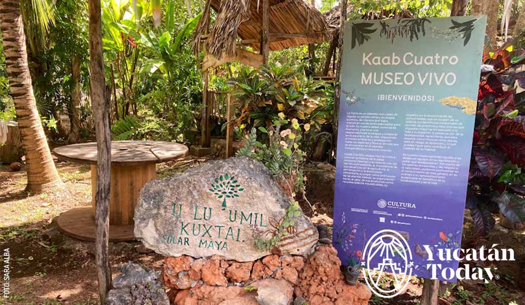 Solar Maya U Lu'umil Kuxtal at Maní by Sara Alba