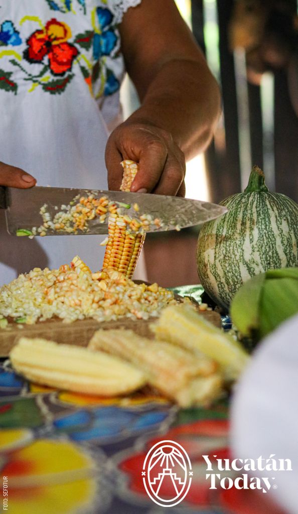 2303 Xcaita by Sefotur