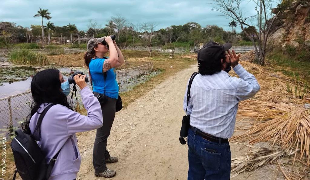 2304-Avistamiento-de-aves-con-Colectivo-Cardenales-by-Carlos-Guzman-2