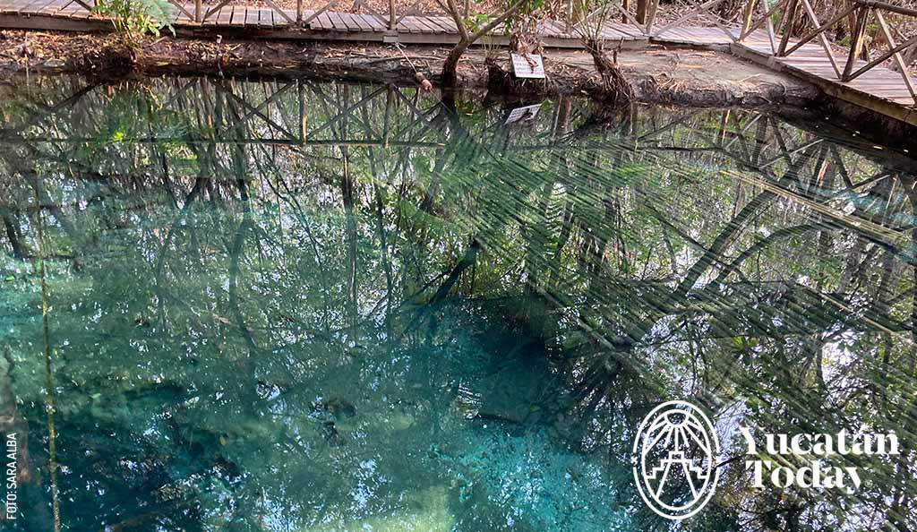2304 Cenote en San Crisanto by Sara Alba