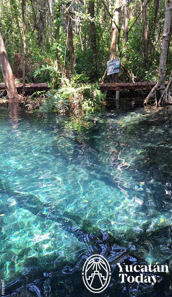 2304-Dzilam-de-Bravo-Ticos-tours-cenote-elepeten-by-MKCT-2-3