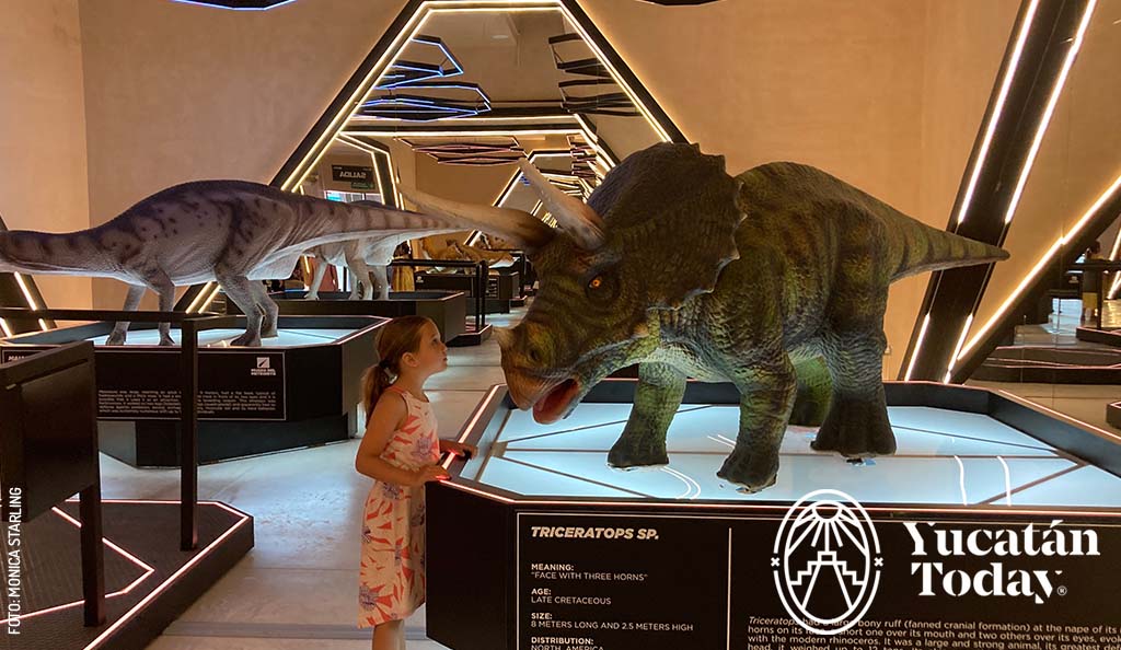 Museo del Meteorito, dinosaur, by Monica Starling