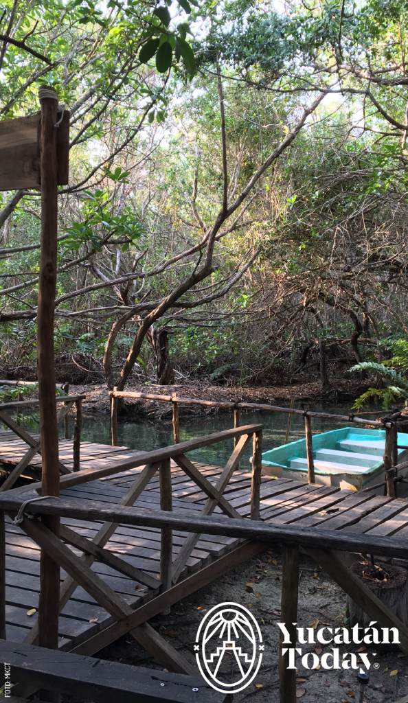 2306 Cenote en Ejido San Crisanto by MKCT