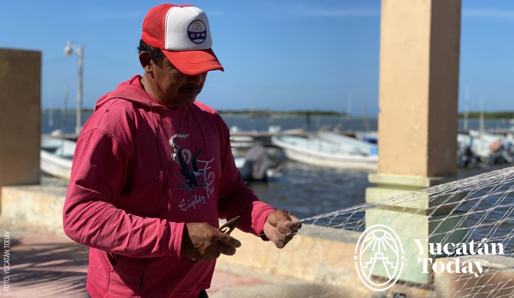 2021 San Felipe pescador, pesca by Yucatán Today