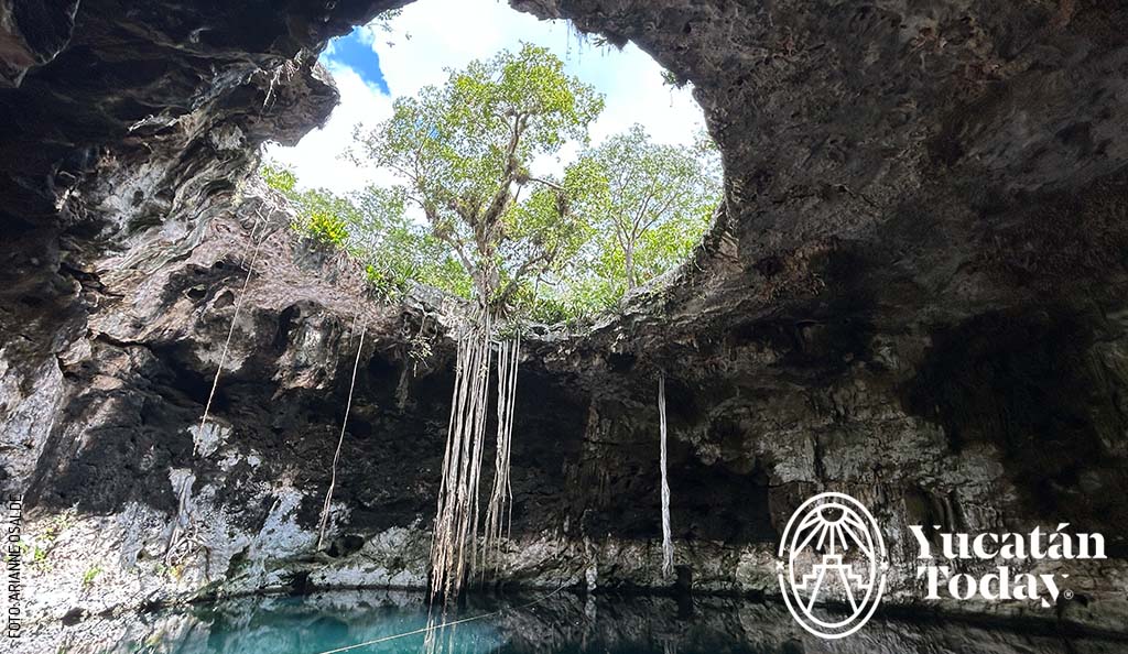 2308-Cenotes-Santa-Barbara-by-Arianne-Osalde-1