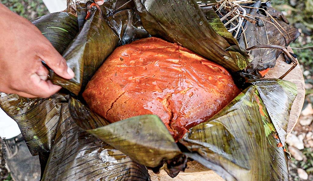 Mukbilpollo by Sotuta de Peón