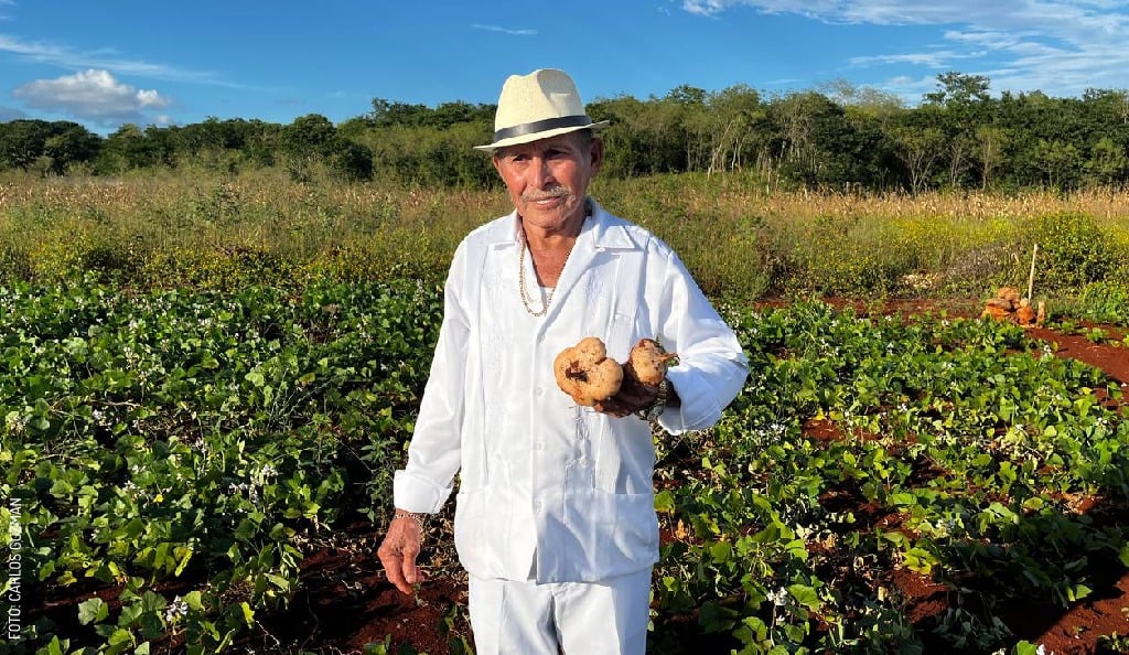 2311-Festival-de-la-Jicama-don-Ausencio-en-Maxcanu-by-Carlos-Guzman-sin-logo-2